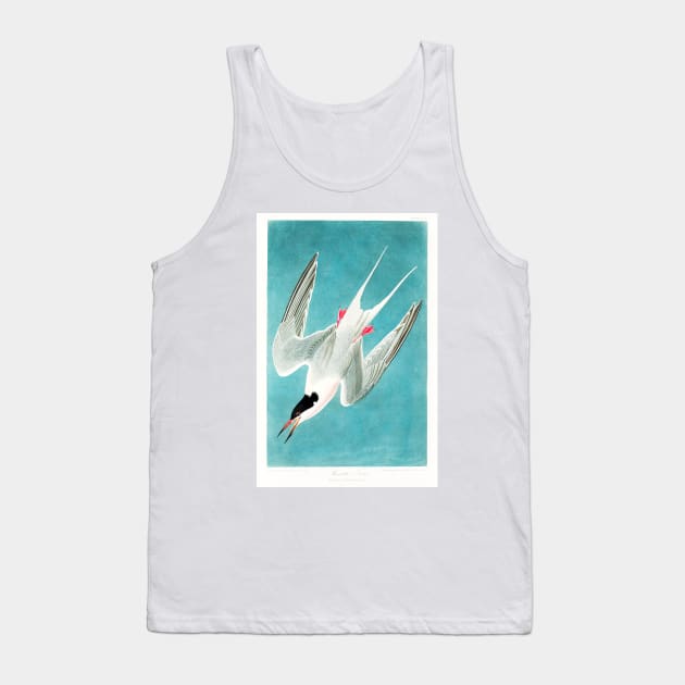 Roseate Tern from Birds of America (1827) Tank Top by WAITE-SMITH VINTAGE ART